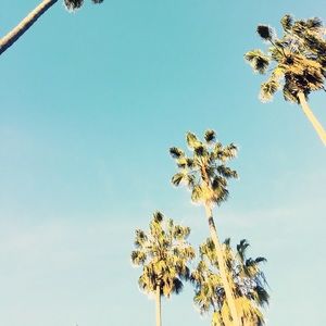 Meet your Posher, Ronnie